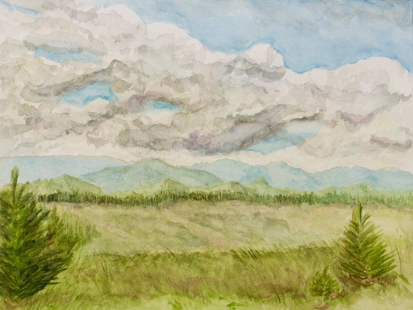 Vermont Meadow Archival Print