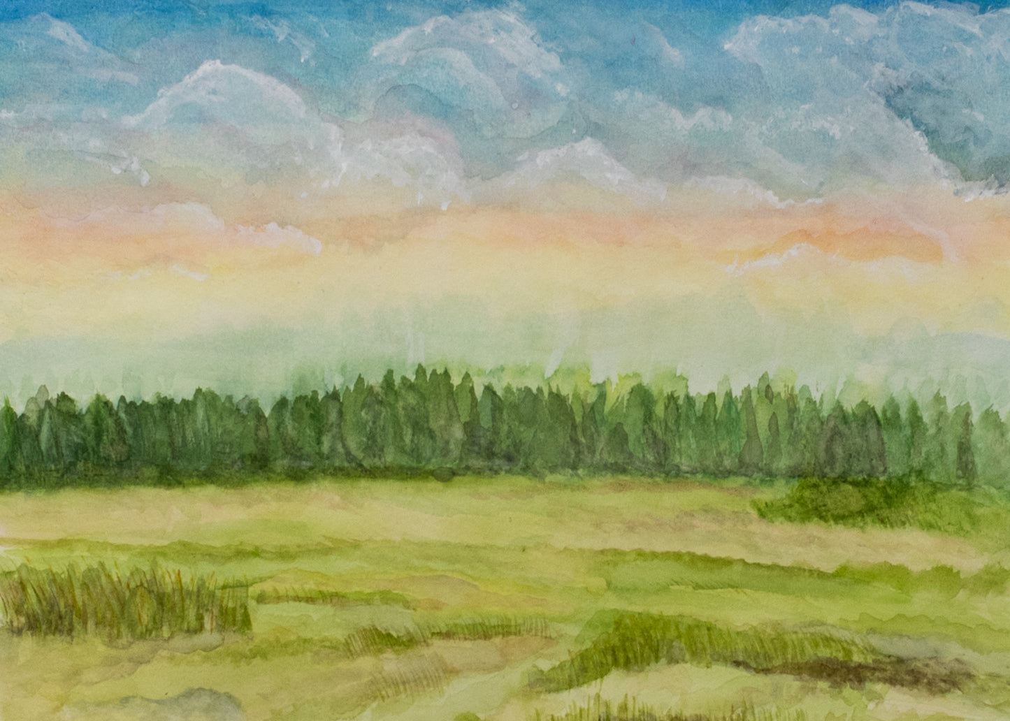 Field at Sunset Archival Print