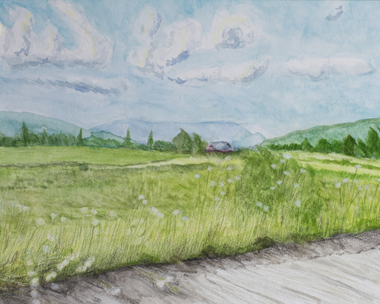 Roadside near Craftsbury, Vermont